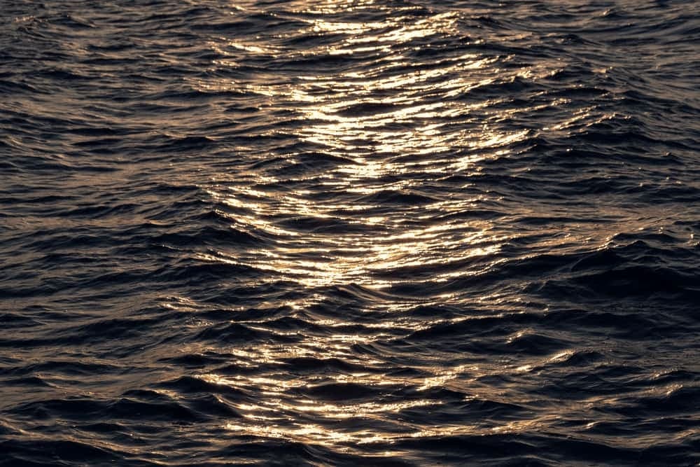 Sunlight reflecting off rippled water
