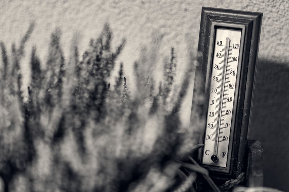 A thermometer photographed outdoors